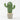 Salvadanaio Cactus