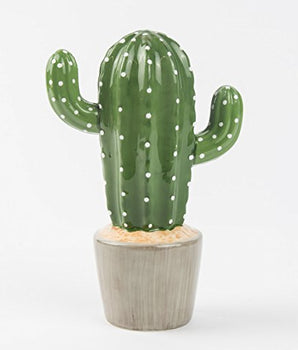  Salvadanaio Cactus