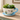 Vaso xxl tazza  celeste