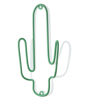 Cactus appendino🌵